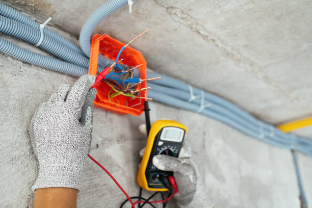 Best Ceiling Fan Installation Electrician  in Genesee, ID